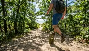 Hiker walking a sunny summer trail at Higbee Beach, a top hiking near me spot in Cape May NJ