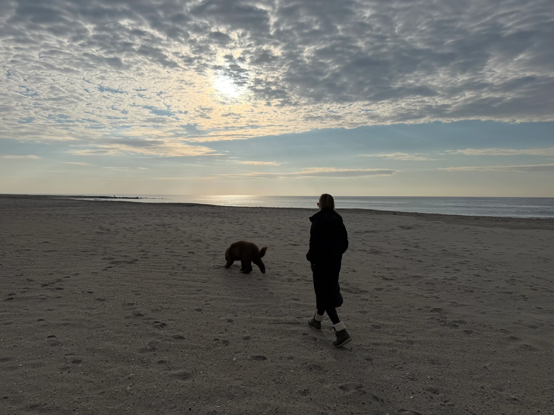 Person and dog enjoying sandy beach at dusk with calm ocean and golden sky reflecting off water at Cape del Mar